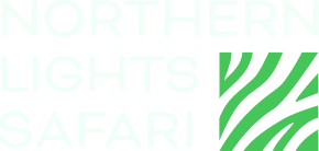 Northern Lights Safari logo