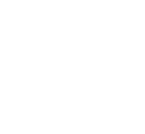 Snow Travels logo